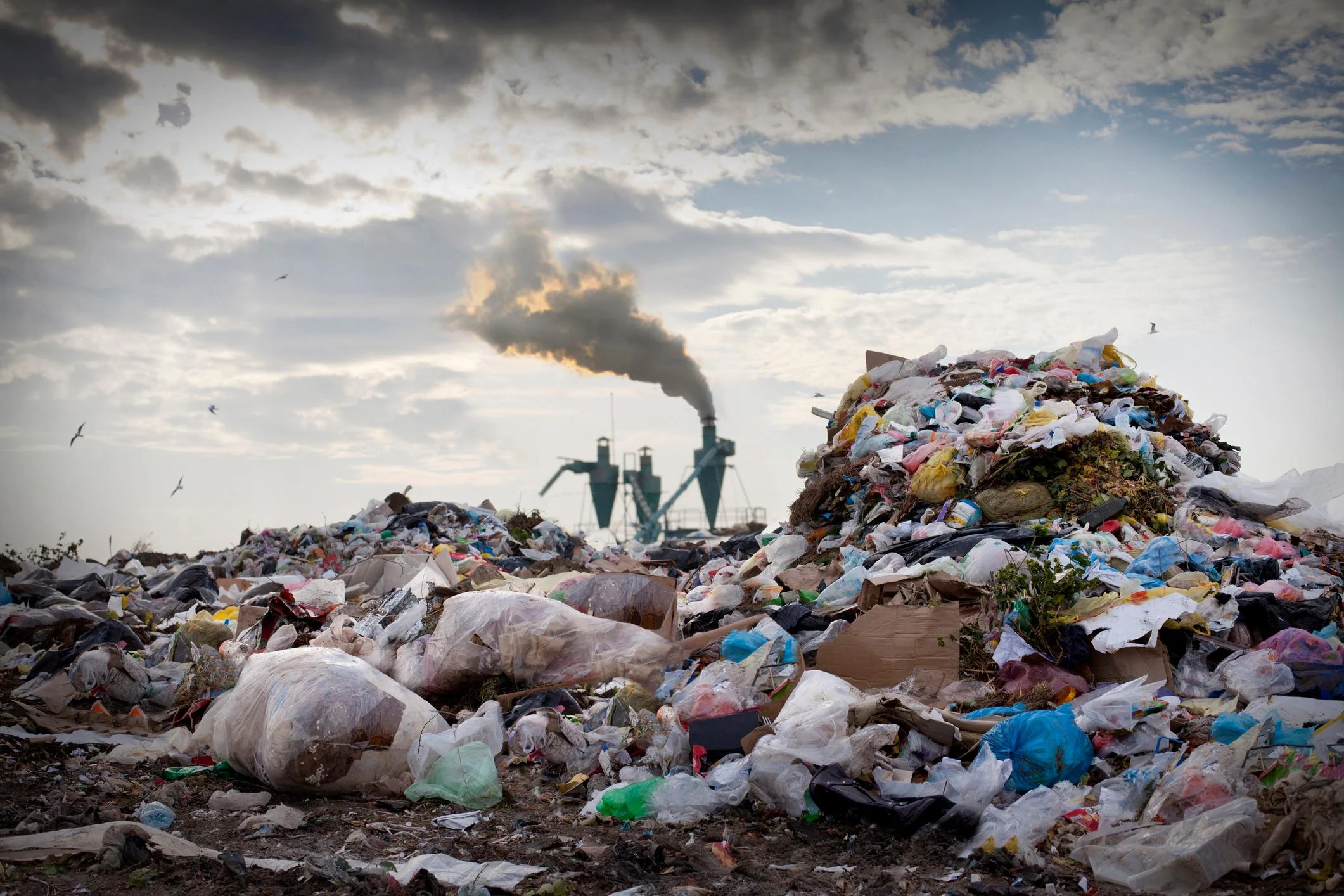 Eine Mülldeponie mit zerfetzten Abfallsätzen und Verpackungsresten aus Plastik. Im Hintergrund ist eine Verbrennungsanlage mit einem rauchenden Schornstein zu sehen. Darüber kreisen Vögel.